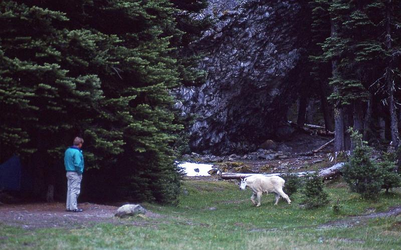 1994-07 Royal Basin Backpack 17.jpg